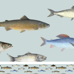 Gone Fishing Print