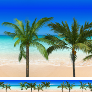 Palm Beach Print