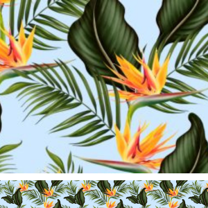 Paradise Canopy Print