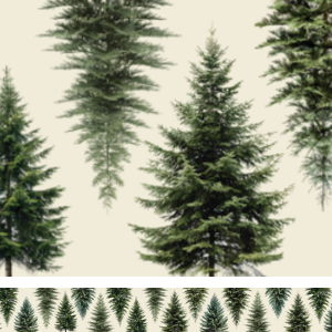 Pines Print