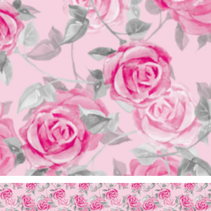 Blush Rose